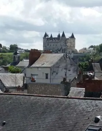 Appt 2Eme Etage Sur L'Ile De Saumur Exterior photo
